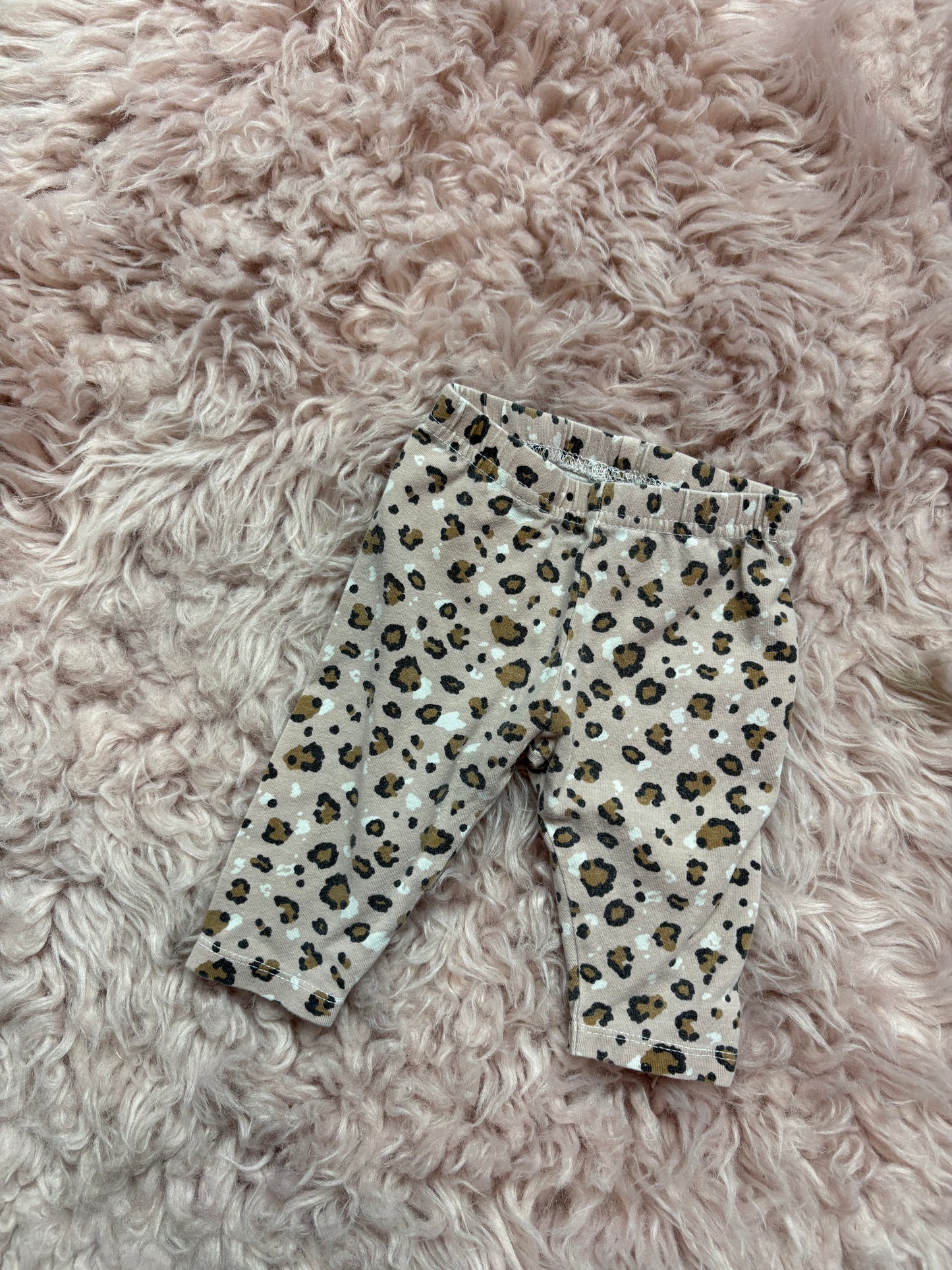 Mini Cheetah
