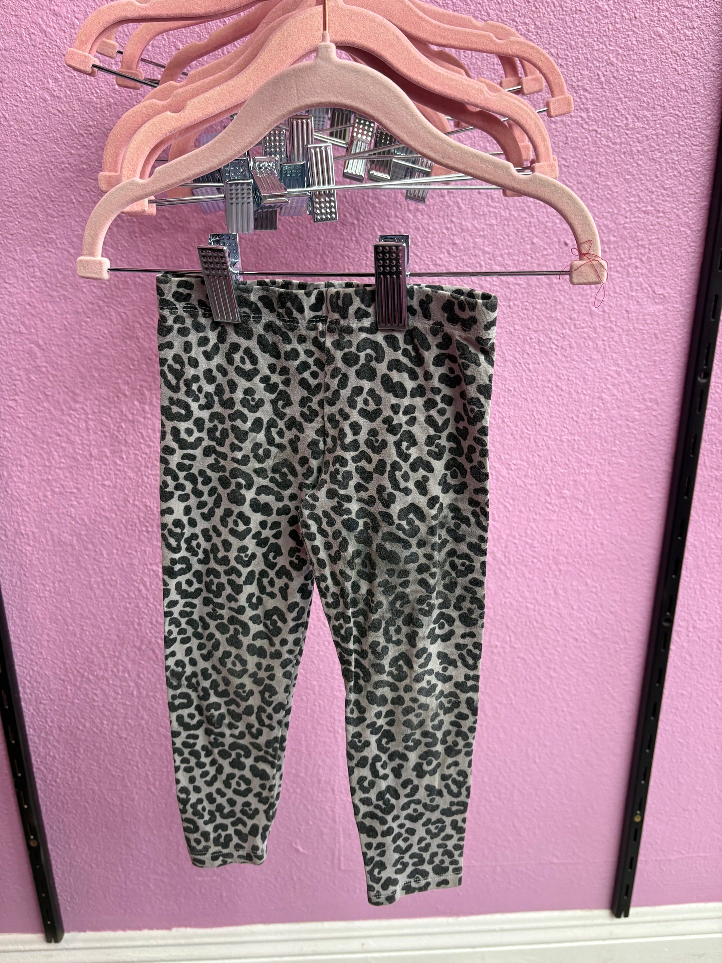 Animal Print Pants