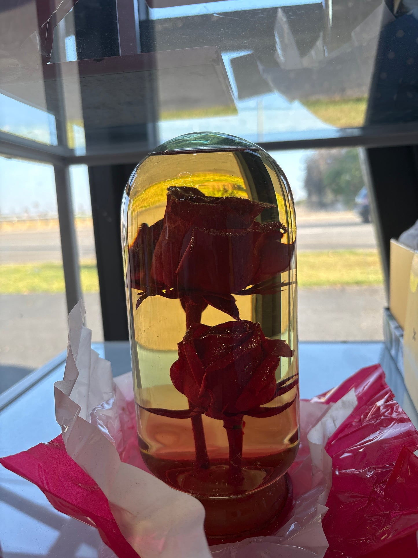 Roses in Glass