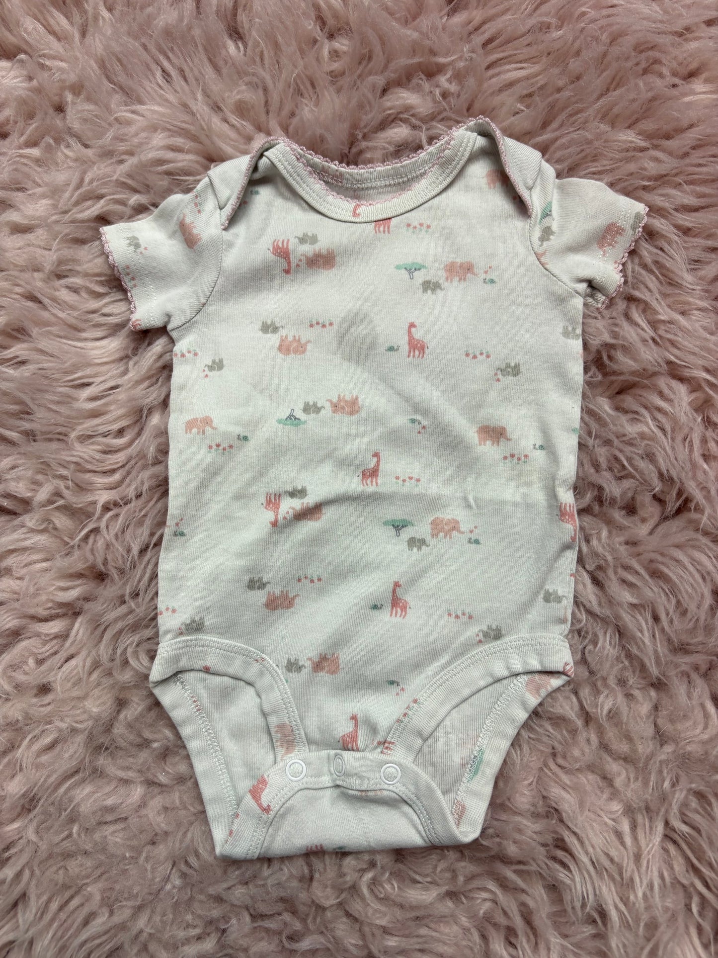 Giraffe Gray